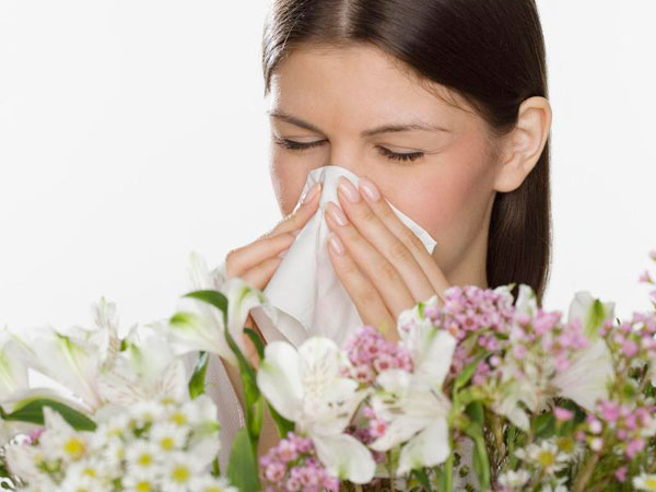 Сезонная аллергия особенности и профилактика