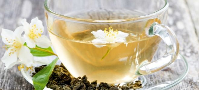 Зеленый чай с жасмином: состав, польза и вред, приготовление
