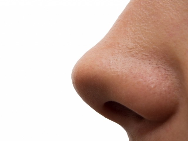Стафилококк в носу