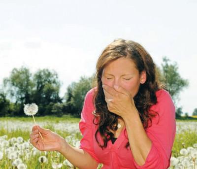 Сезонная аллергия особенности и профилактика